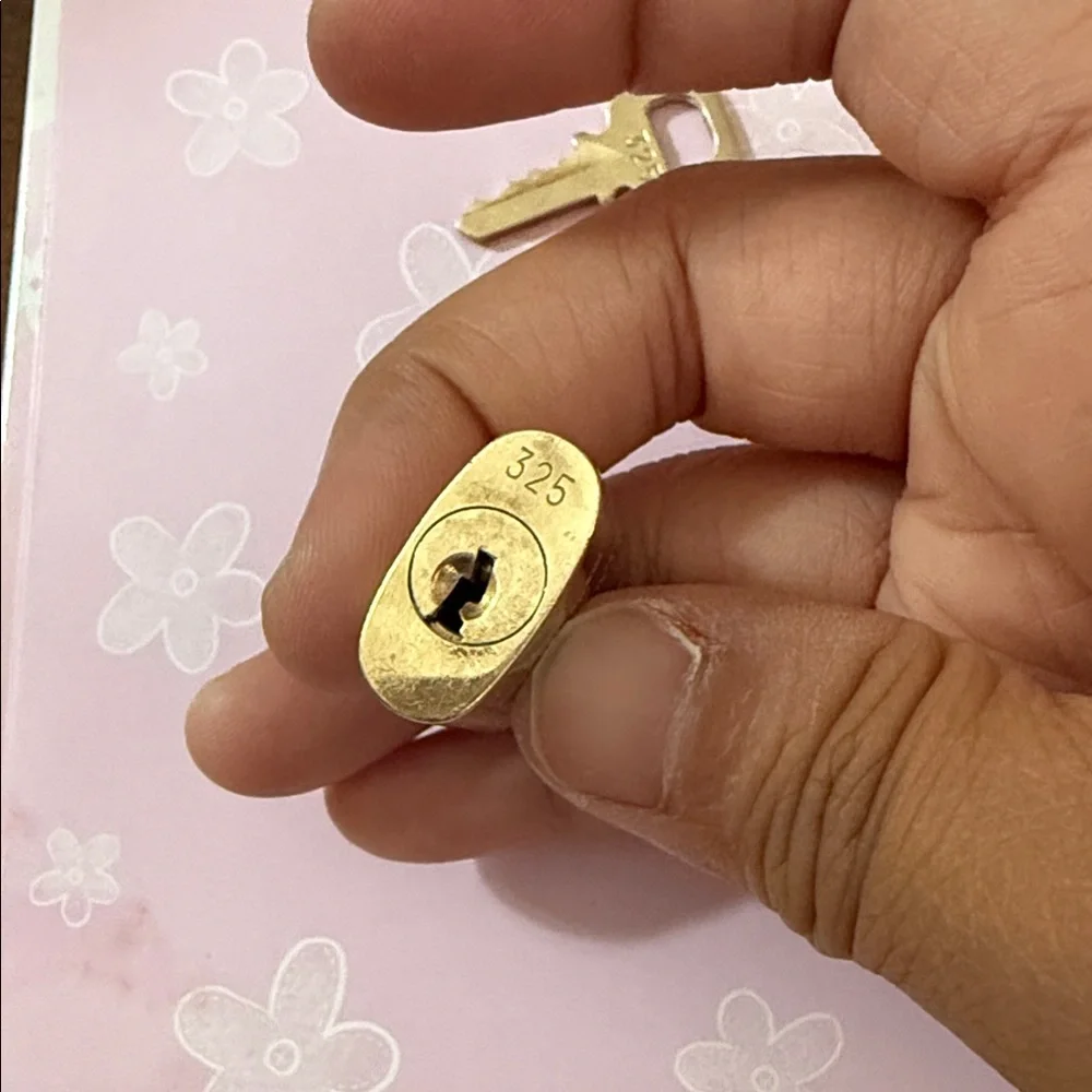 Louis vuitton brass lock set #325